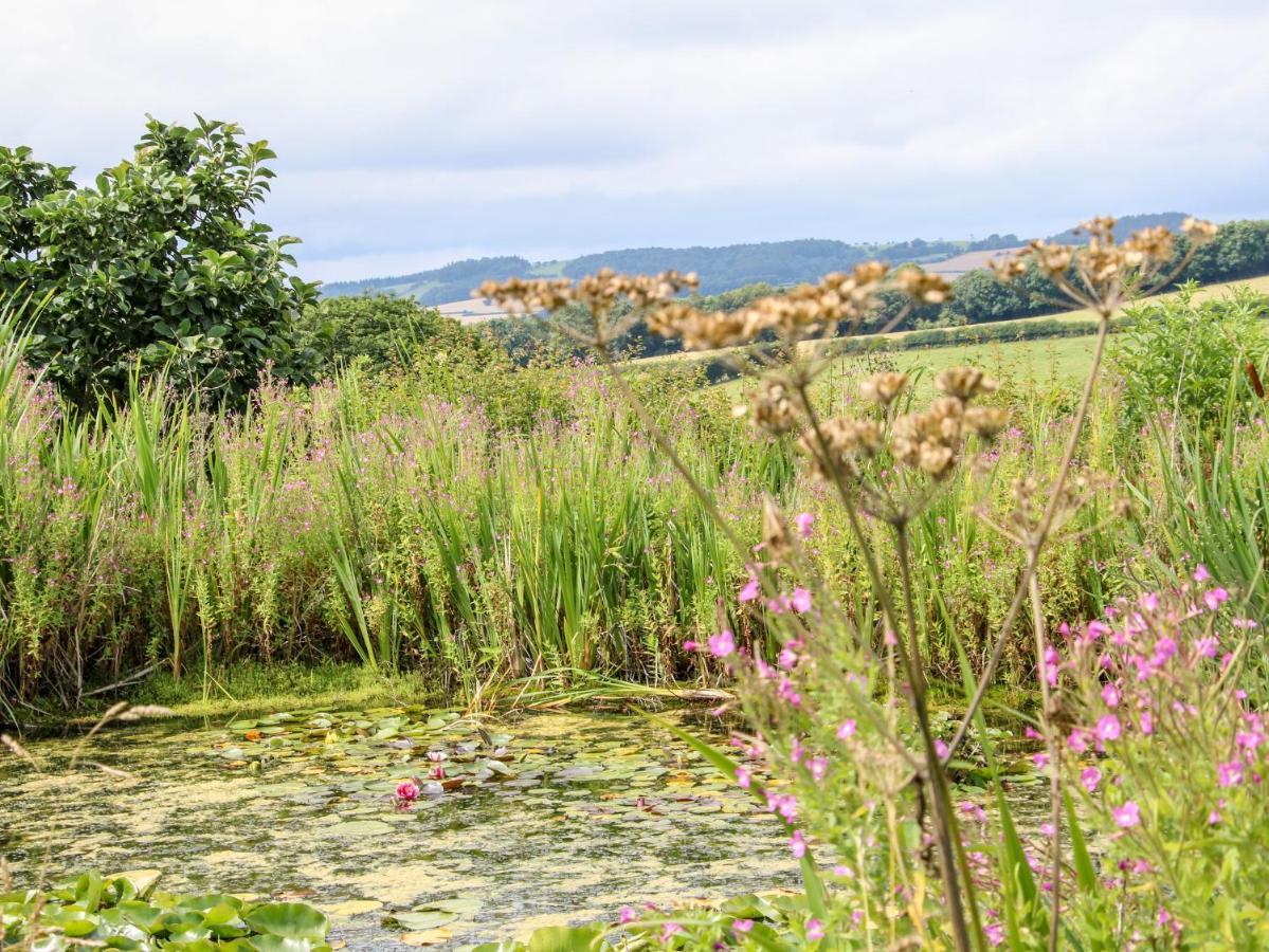 Callow Fold Holiday home